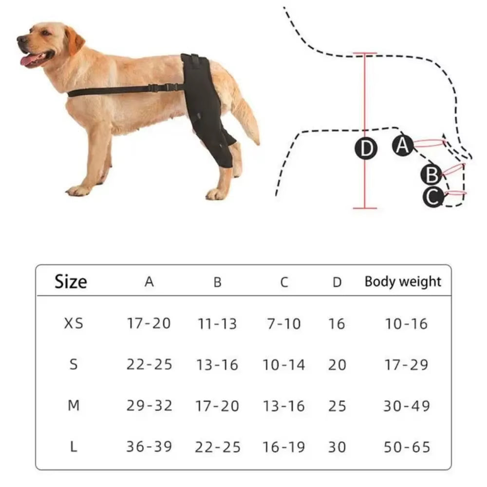 Dog Leg Support Brace Knee Hip Joint Protect Wounds Prevent Injuries Canine Aid and Ligament Rehabilitation for Pets Accessories