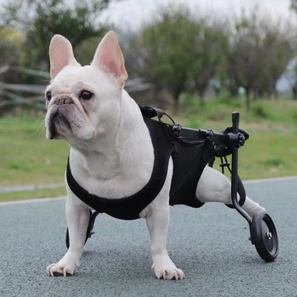 Small Dog Rear Leg Wheelchair Adjustable Dog Wheelchair - Suitable for Disabled Pets Dog Leg Support and Hip Support