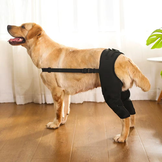 Dog Leg Support Brace Knee Hip Joint Protect Wounds Prevent Injuries Canine Aid and Ligament Rehabilitation for Pets Accessories