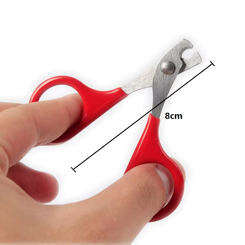 Pet Cat Claw Care Tools Cat Scissors for Nails Pet Supplies Accessories Cat Cleaning Tools for Claw Nails Scissor Pet Products