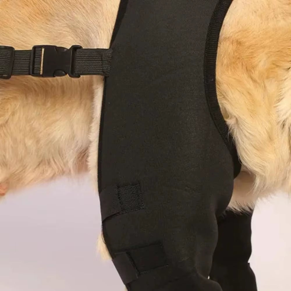 Dog Leg Support Brace Knee Hip Joint Protect Wounds Prevent Injuries Canine Aid and Ligament Rehabilitation for Pets Accessories
