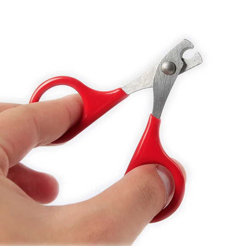 Pet Cat Claw Care Tools Cat Scissors for Nails Pet Supplies Accessories Cat Cleaning Tools for Claw Nails Scissor Pet Products