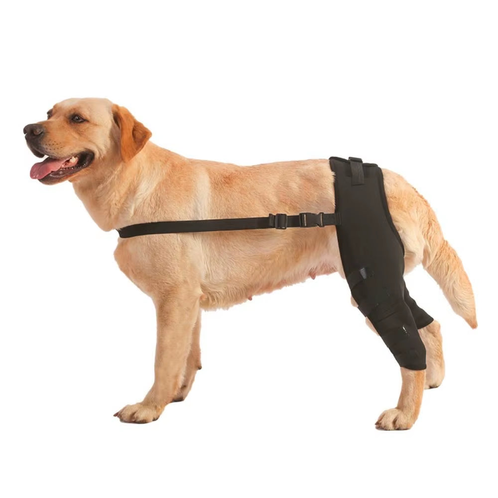 Dog Leg Support Brace Knee Hip Joint Protect Wounds Prevent Injuries Canine Aid and Ligament Rehabilitation for Pets Accessories
