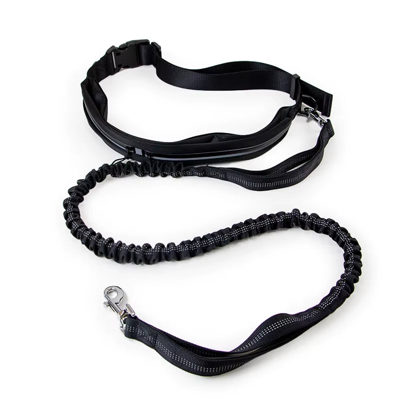 Multifunctional Dog Leash Hands Free Dog Running Leash with Zipper Pouch, Dual Handle, Elastic Pet Leash Retractable Rope