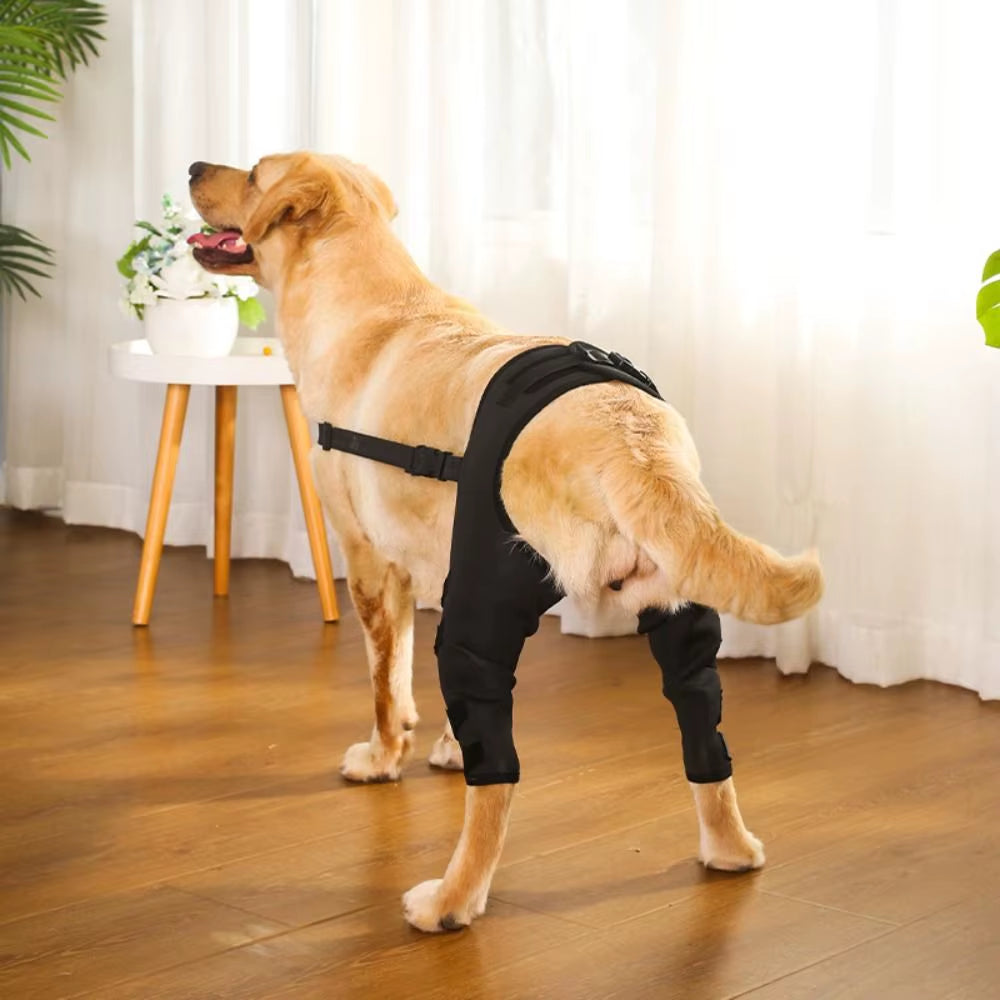 Dog Leg Support Brace Knee Hip Joint Protect Wounds Prevent Injuries Canine Aid and Ligament Rehabilitation for Pets Accessories